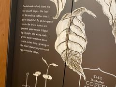 -星巴克(红房子店)