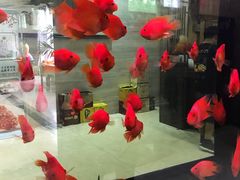 -雅和生态渔庄·宜城锅巴饭(龙灵山公园店)