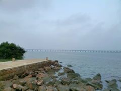 -宝安西湾红树林湿地公园