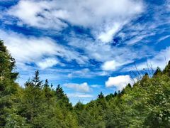 -山王坪喀斯特国家生态公园