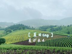 -帐篷客·溪龙茶谷度假酒店