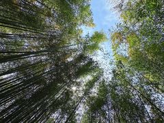 -竹泉村旅游度假区