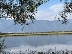 -野鸭湖国家湿地公园