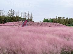 -嘉北郊野公园