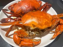 -杨记海鲜楼(三门黑金冠店)