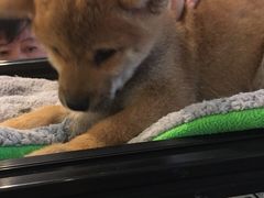 -远洋未来广场(育慧北路店)