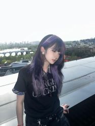 -YESIDO椰岛造型