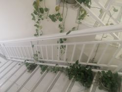 -金都微美·精准护肤·疗愈SPA