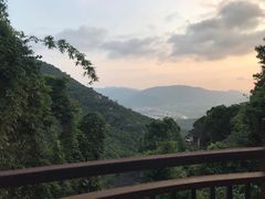 -三亚亚龙湾人间天堂鸟巢度假村