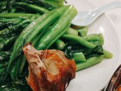 -五谷芳乳鸽王(海景店)