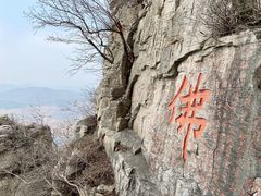 -抱犊崮国家森林公园