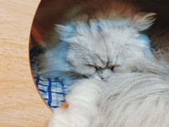 -小时光咖啡馆(北锣鼓巷店)