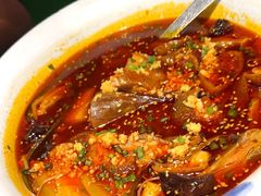 -辛香汇·锦里丨现炒川菜(中南城店)