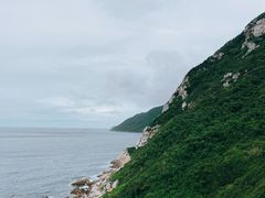 -杨梅坑