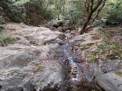 -梧桐山风景名胜区