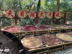 -天目湖山水园
