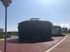-鹦鹉洲湿地公园