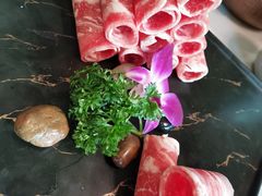 -菌子鲜汤野生菌锅