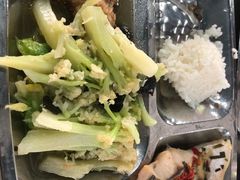 -上海科学技术职业学院