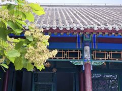 -张学良旧居陈列馆