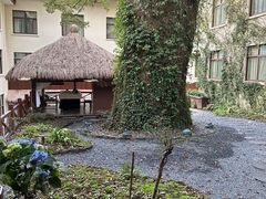 -普陀山雷迪森庄园