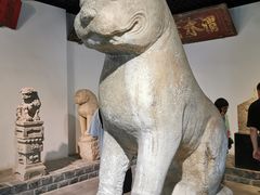 -徐州龟山景区