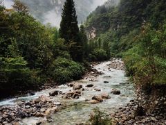 -鹿院坪生态旅游景区
