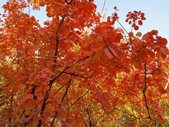 -长辛店二七公园