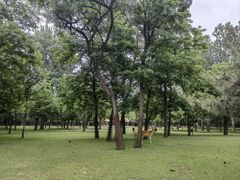-秦皇岛野生动物园