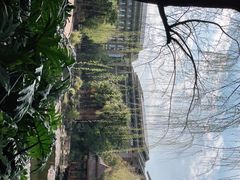 -昆明洲际酒店