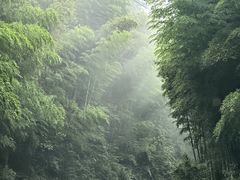 -綦江古剑山