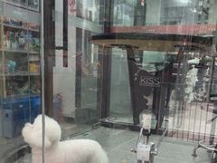 -宠物家(大兴旧宫店)