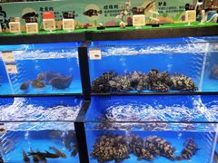 水产区-盒马鲜生(皇庭广场店)