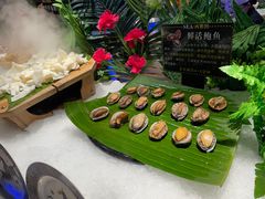 鲍鱼-SEA西雅图海鲜自助餐厅(正义店)