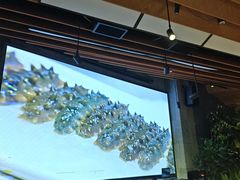 -新安人家·22年本地餐厅