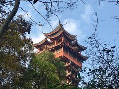 -塔子山公园