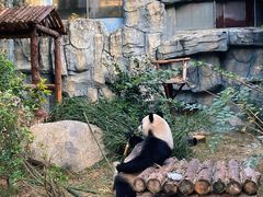 -泉州海丝野生动物世界