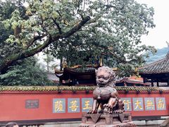 -峨眉山报国寺