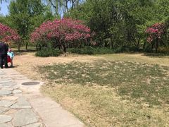 -北京植物园-展览温室