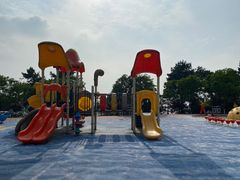 -铁山坪森林公园