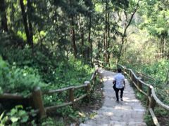 -木兰云雾山