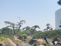 -罗红摄影艺术馆