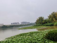 -洛龙公园