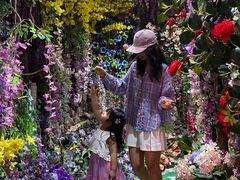-正佳雨林生态植物园
