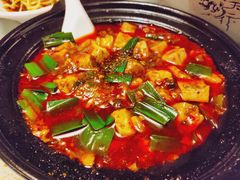 -陈麻婆豆腐总店