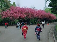 -北海道厅旧本厅舍(旧本庁舎)