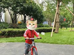 -趣动熊运动发展中心(乐坊校区)