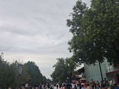 -大慈恩寺(大雁塔)