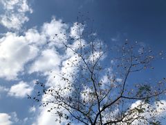 -瑞幸咖啡(浩源大厦店)