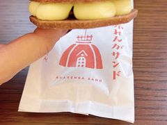 -北海道厅旧本厅舍(旧本庁舎)